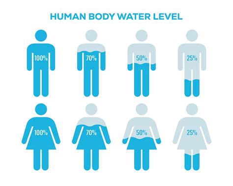what is the water percentage of the human body|25.2A: Water Content in the Body .